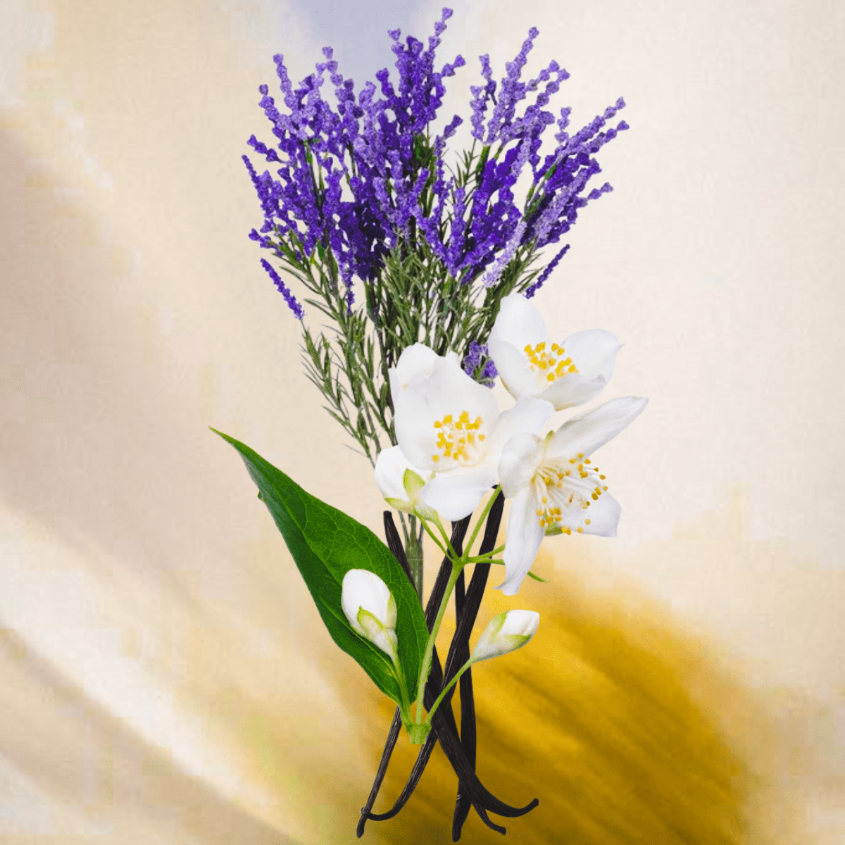 PETALS & SPELLS - Indira San Francisco