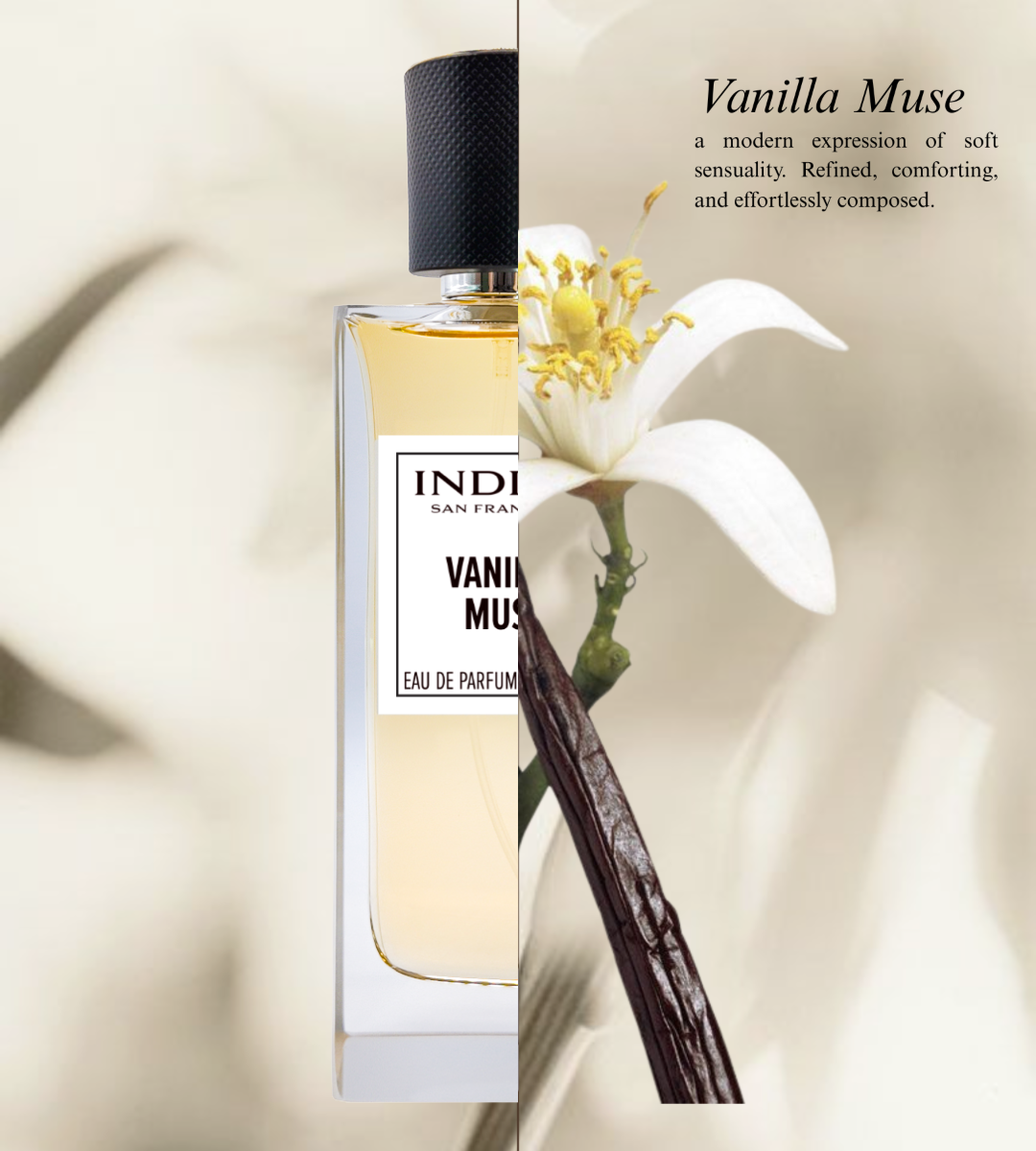 VANILLA MUSE