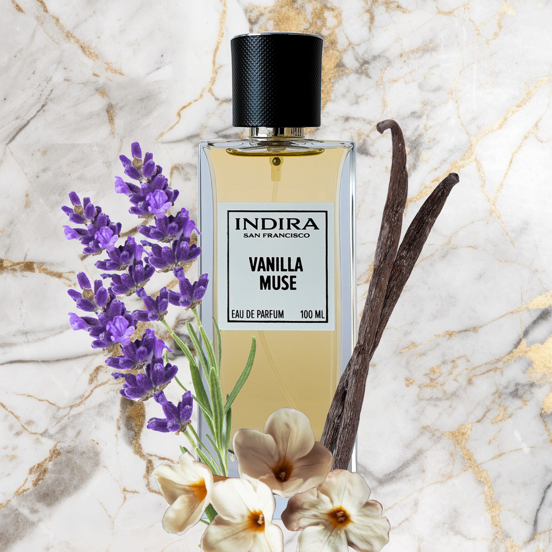 VANILLA MUSE