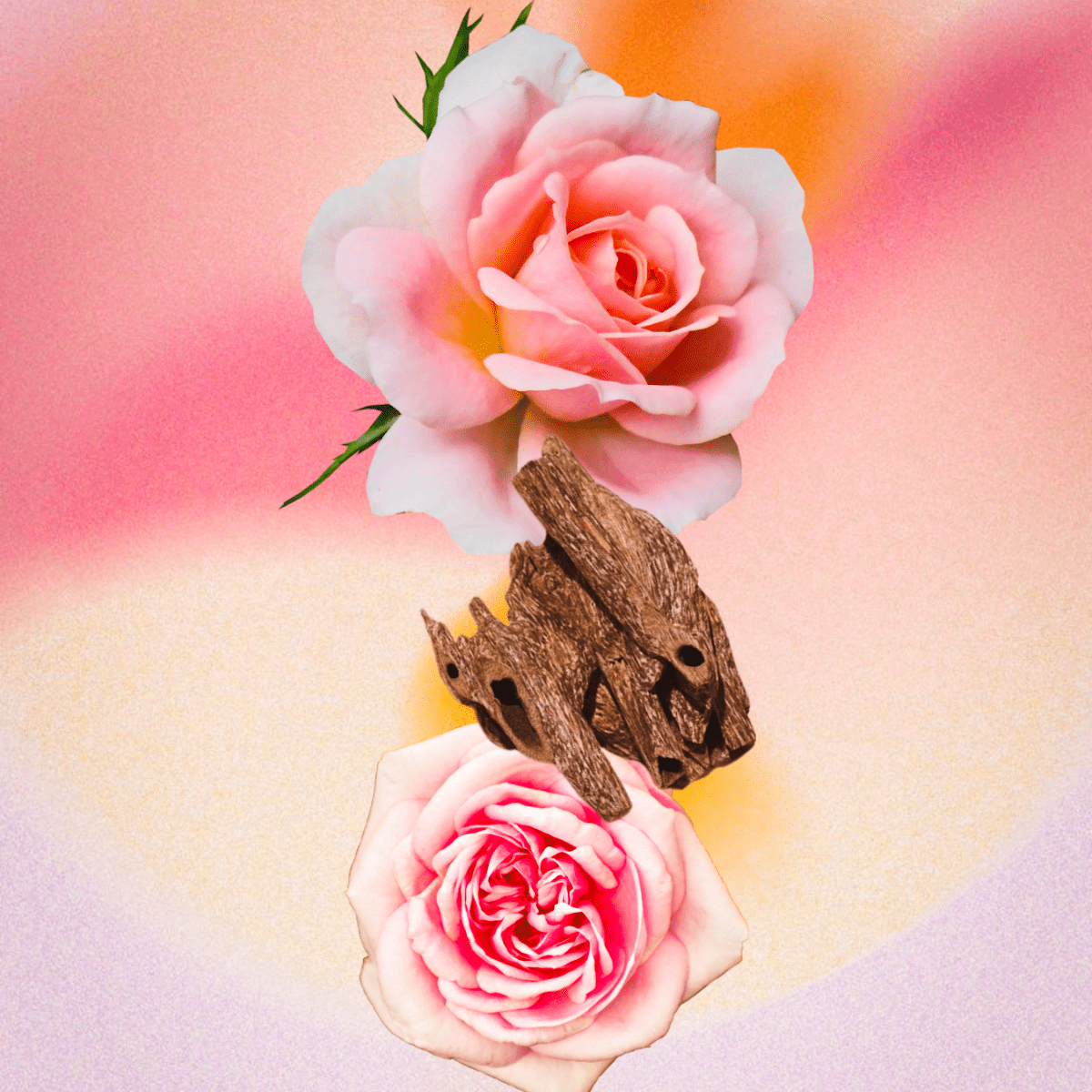 OUD ROSE Intense - Indira San Francisco