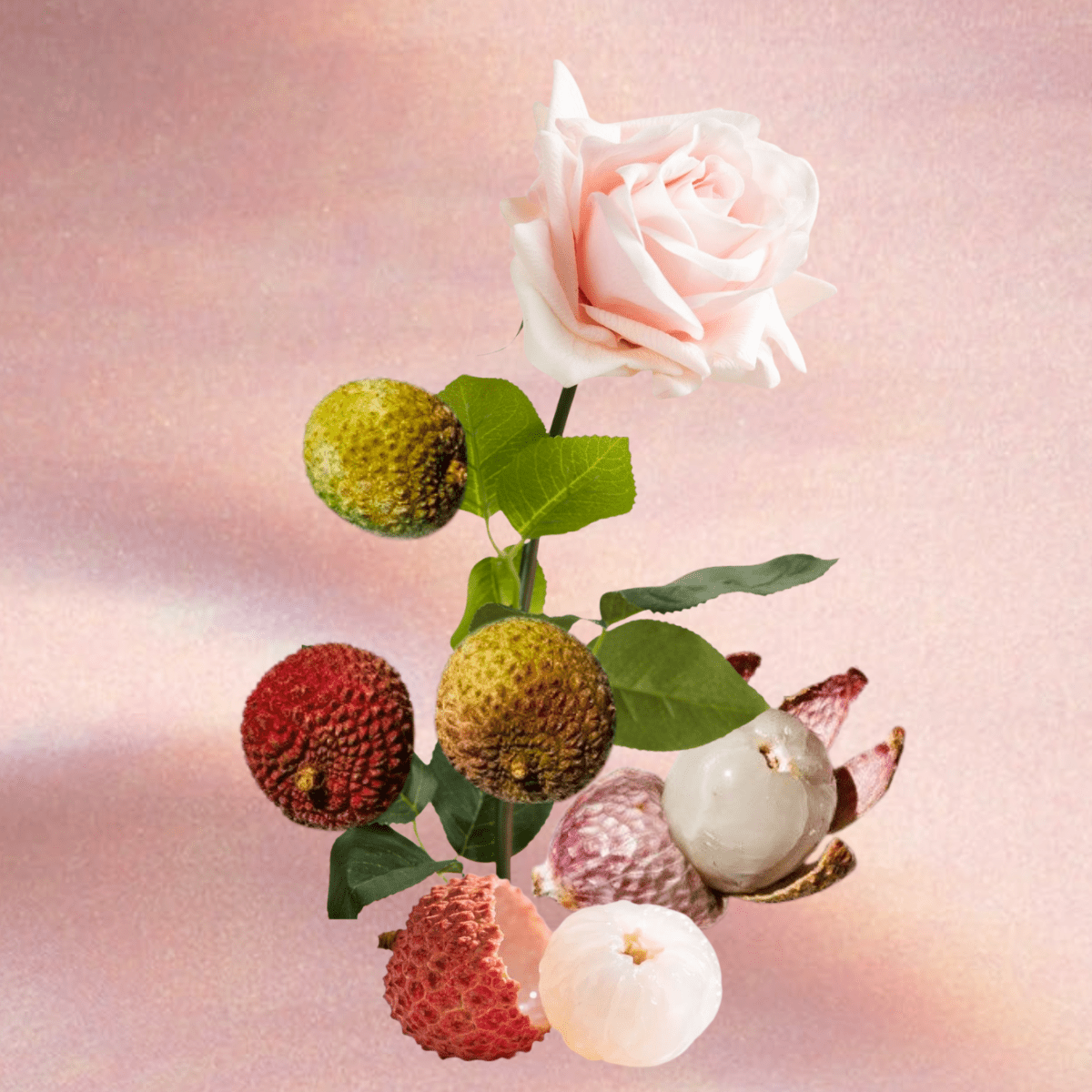 ROSE LYCHEE - Indira San Francisco